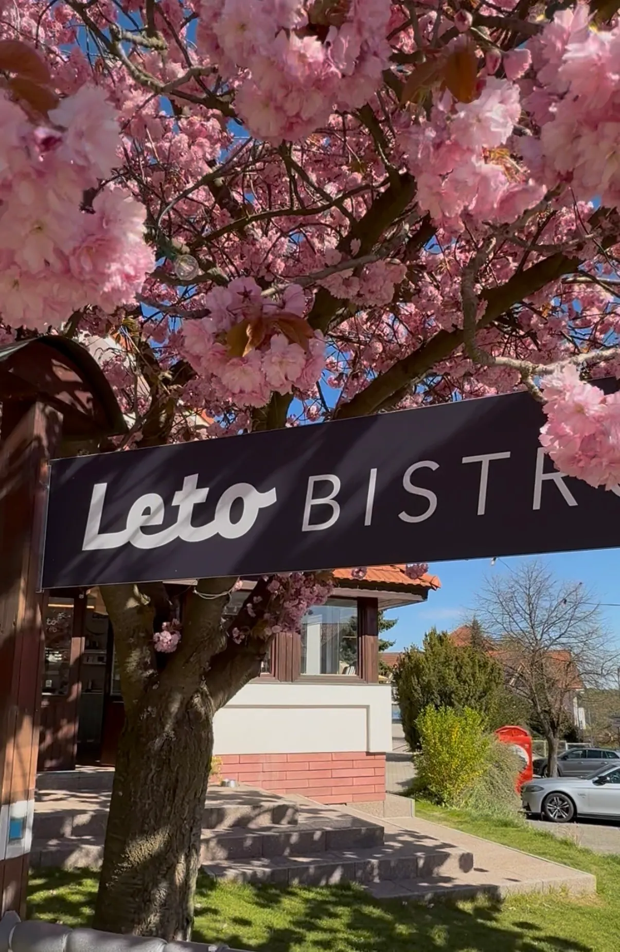 Vchod do Leto Bistra s kvetoucí sakurou na jaře